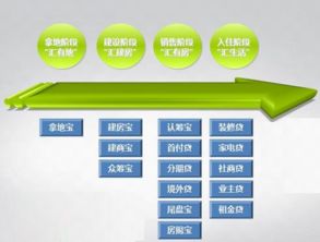 2018-2024年房地產(chǎn)金融行業(yè)市場運行態(tài)勢及投資戰(zhàn)略咨詢研究報告 企業(yè)投資與咨詢服務分析